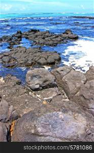 &#xA;the zanzibar beach seaweed in indian ocean tanzania sand isle sky and rock