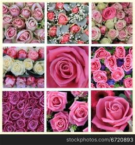 XL-collage made from 9 different high resolution pink rose images
