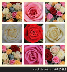 XL-collage made from 9 different high resolution rose images