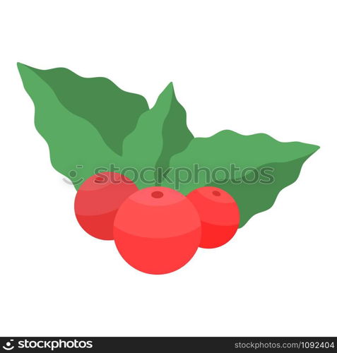 Xmas berries icon. Isometric of xmas berries vector icon for web design isolated on white background. Xmas berries icon, isometric style