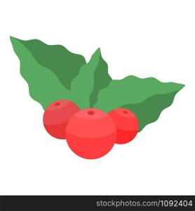 Xmas berries icon. Isometric of xmas berries vector icon for web design isolated on white background. Xmas berries icon, isometric style