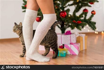 xmas, winter holidays and celebration concept - close up of young woman in knee socks, tabby cat and gifts under christmas tree. woman, cat and gift boxes under christmas tree