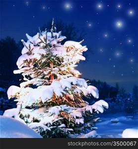 xmas winter pine tree in dark
