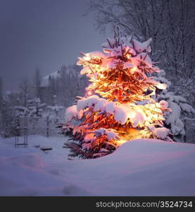 xmas winter pine tree in dark