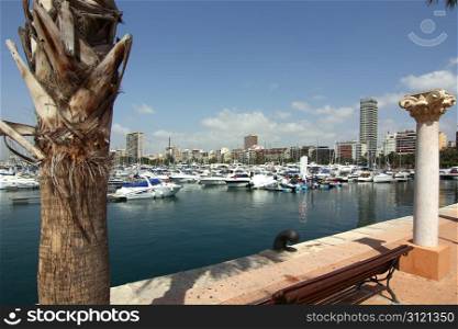 yacht marina in the city of Alicante Spain