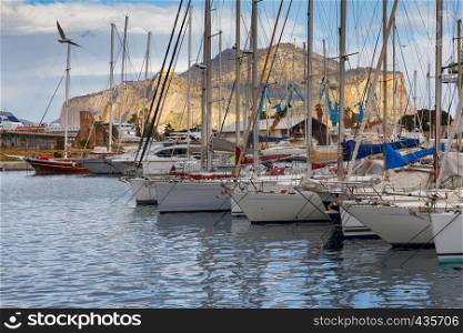 Yachts and fishing boats in the city harbor. Palermo. Sicily. Italy.. Palermo. City Harbor.