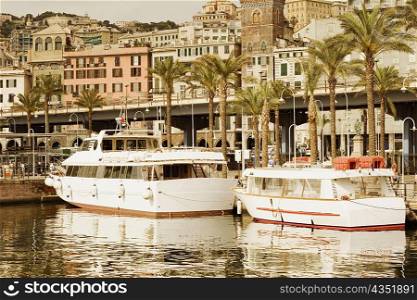 Yachts docked at a harbor, Porto Antico, Genoa, Italy