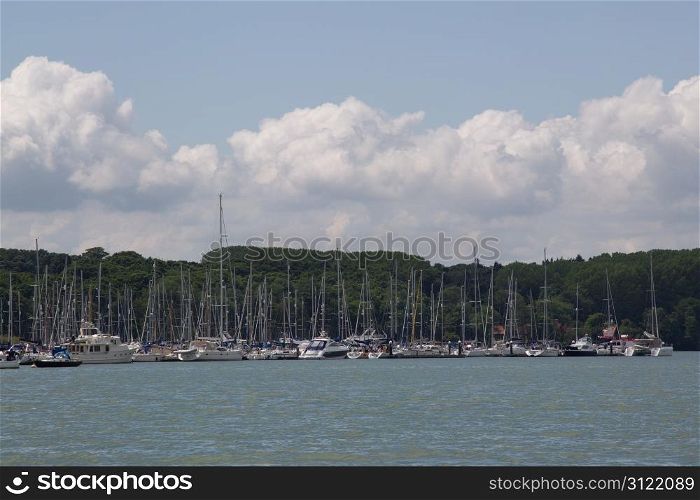 Yachts in a marina on a river surrounded by forest, in summer