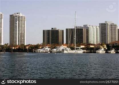 Yachts moored at a dock, Miami, Florida, USA
