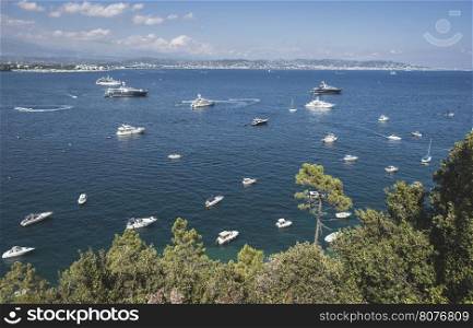 Yachts on the french riviera. View through the branches.