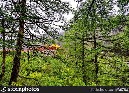 Yading Nature Reserve, Daocheng County, Sichuan, China