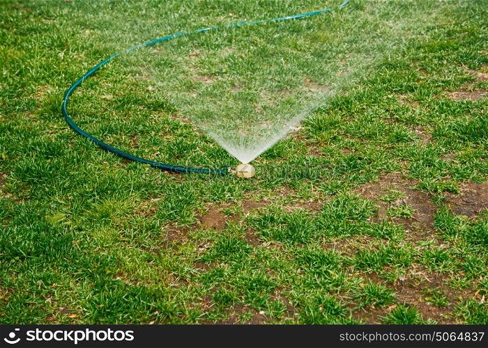 Yard grass sprinkler. Water springer in lawn with dog spots.. Water springer in lawn with dog spots. Garden grass irrigation. Yard grass sprinkler