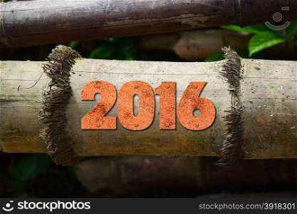 year 2016 written with vintage letterpress printing blocks on rustic wood background