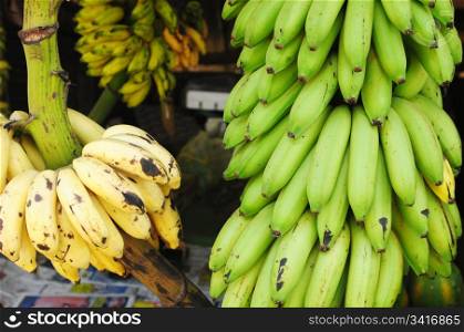 Yellow and green banana fruits at a market