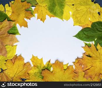 yellow and green leaves of maple and mulberry on a white background, empty space in the middle