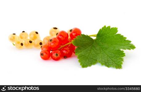 Yellow and red currant isolated on white background