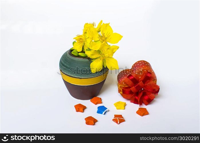 Yellow Apricot Flower in vase and gift isolated on white background, traditional lunar new year in Vietnam