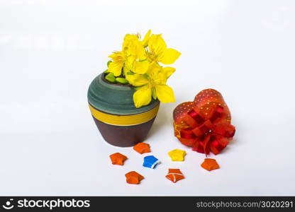 Yellow Apricot Flower in vase and gift isolated on white background, traditional lunar new year in Vietnam