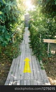 Yellow Arrow Painted on Wooden Planks. Direction or guidance concept