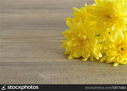 Yellow asters isolated on a wooden background