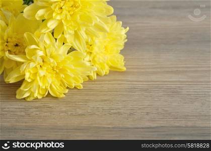 Yellow asters isolated on a wooden background