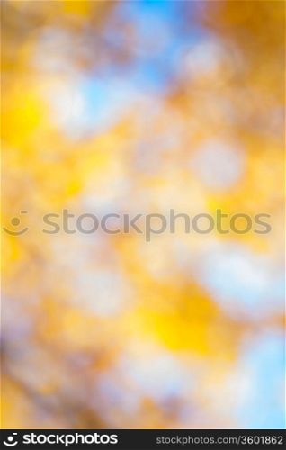 yellow autumn bokeh