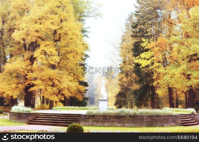 yellow autumn forest landscape / beautiful trees with yellow leaves in the forest, landscape October autumn, seasonal landscape
