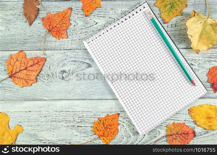 yellow autumn leaves and a notebook on a light old wooden background with empty space for text. the view from the top. flat lay