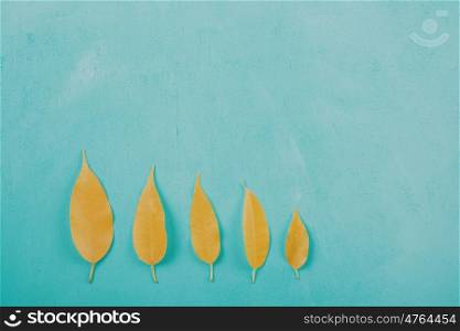 Yellow Autumn Leaves On Turquoise Wood Table