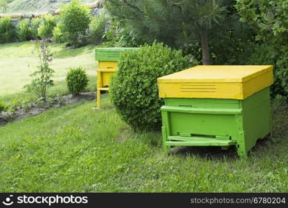 Yellow beehives located on the green lawn