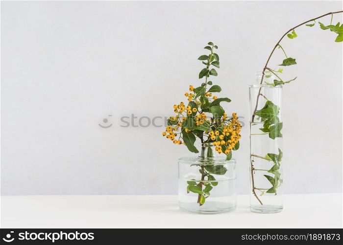 yellow berry twig ivy glass vase desk against background. Resolution and high quality beautiful photo. yellow berry twig ivy glass vase desk against background. High quality and resolution beautiful photo concept