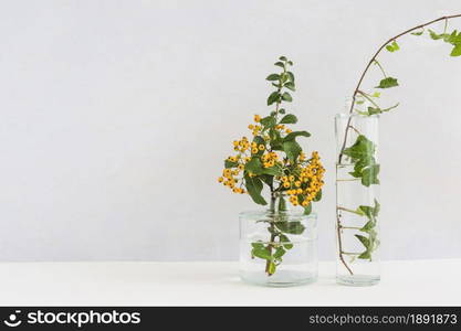 yellow berry twig ivy glass vase desk against background. Resolution and high quality beautiful photo. yellow berry twig ivy glass vase desk against background. High quality and resolution beautiful photo concept