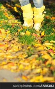Yellow boots standing on the grass and leaves in autumn