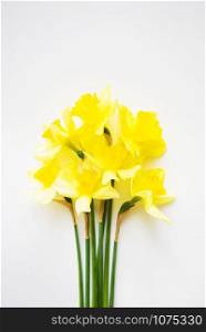 Yellow bouquet of daffodils lying on white table.. Yellow bouquet of daffodils lying on white table