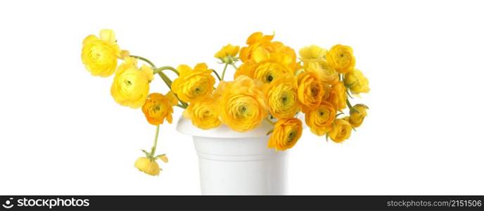 Yellow bright color anemone flower bouquet on light horizontal long background