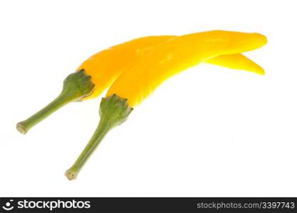 Yellow chili pepper isolated on white