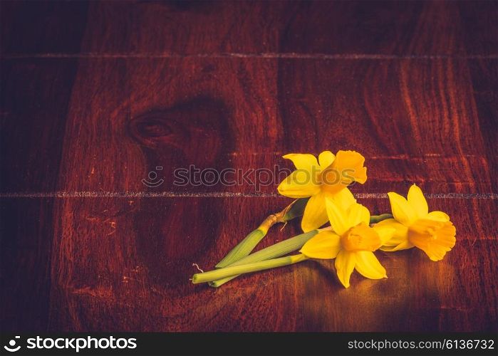 Yellow daffodils on a dark wooden table