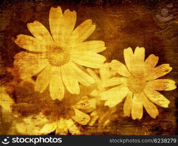 Yellow daisy, abstract floral grunge background with old dirty texture