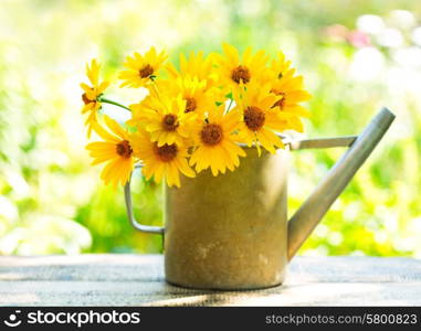 yellow daisy flowers in watering can on wooden table