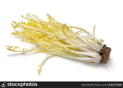 Yellow dandelion leaves on white background