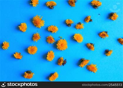 Yellow dandelions on a blue background. Yellow dandelions on a blue background. dandelions seamless pattern