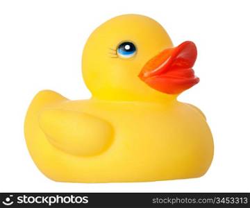 Yellow duck isolated on a over white background