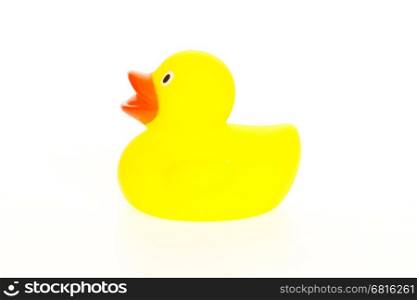 Yellow duck isolated on a white background