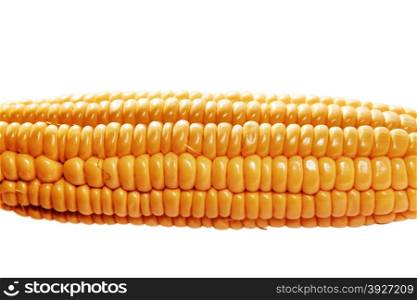 yellow ear of corn isolated on a white background