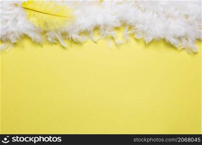 yellow feather white