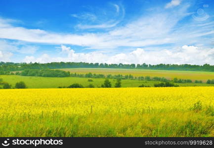 Yellow field of flowering rape and blue sky with clouds. Beautiful rural landscape.