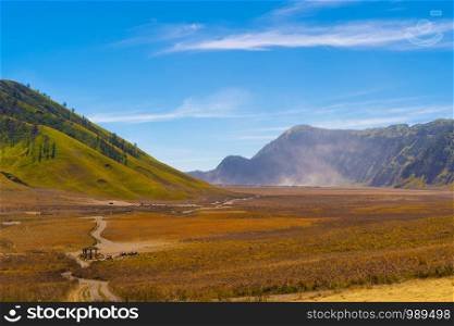 Yellow field with mountains. Bromo Savanna Green Hill in the national park on travel trip and holidays vacation concept, East Java, Indonesia. Nature landscape background