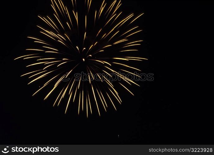 Yellow Firework Exploding In Sky