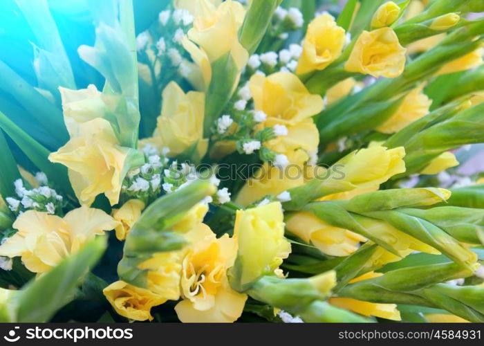 yellow flower