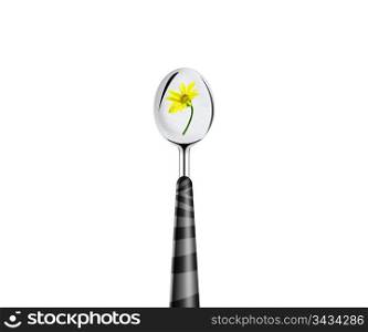 yellow flower and spoon isolated on white background.